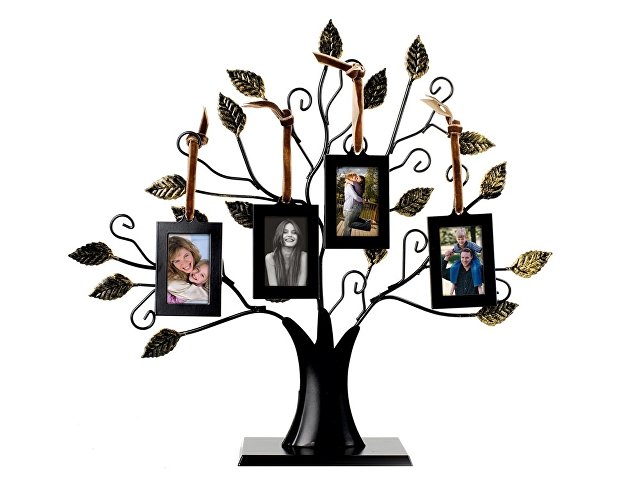Генеалогическое дерево «Моя семья»