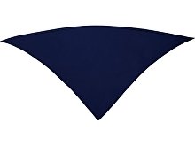 Шейный платок FESTERO треугольной формы (арт. PN900355)