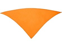 Шейный платок FESTERO треугольной формы (арт. PN900331)