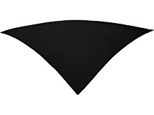 Шейный платок FESTERO треугольной формы (арт. PN900302)