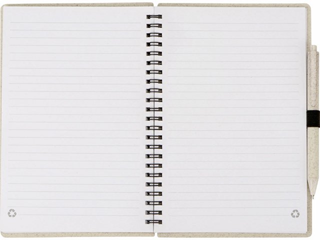 Блокнот А5 «Toledo M» с обложкой из пшеницы и пластика и шариковой ручкой