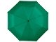 Зонт Alex трехсекционный автоматический 21,5", зеленый