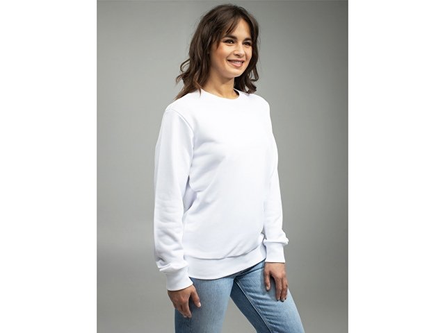 Свитшот для сублимации «Evolution» унисекс thumbnail