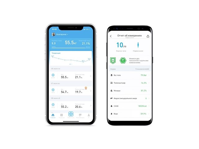 Умные диагностические весы Mini Pro V2 thumbnail