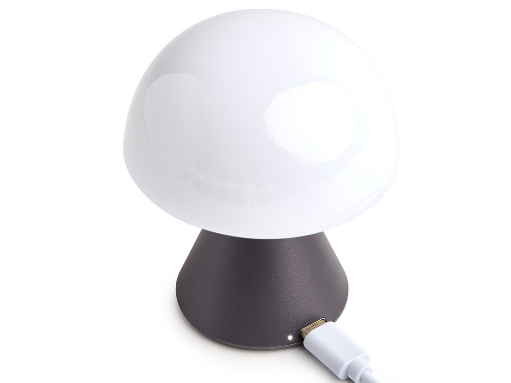 Лампа интерьерная Mina фото 3 Лампа интерьерная Mina фото 3