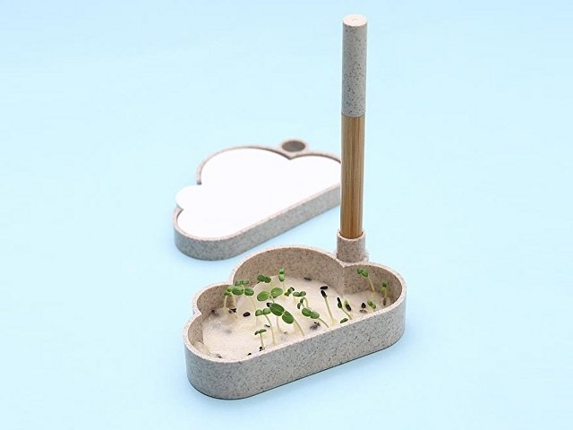 Набор для записей с семенами ромашки «Patio» thumbnail