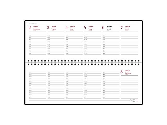 Планинг датированный «Ideal New» на 2025 год