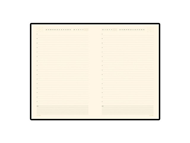 Ежедневник недатированный А5 «Monaco»