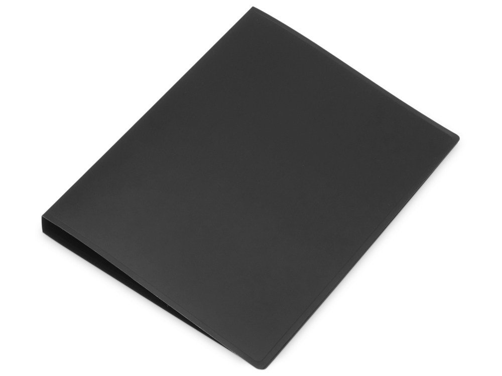 Папка на 2-х кольцах Папка на 2-х кольцах