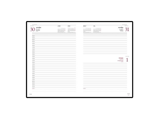 Ежедневник датированный А5 «Ideal New» на 2026 год thumbnail