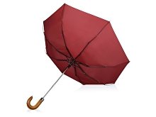 Зонт складной «Cary» (арт. 979078), фото 3
