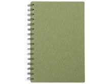 Блокнот А5 на спирали «Mania»