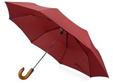 Зонт складной «Cary» (арт. 979078p)