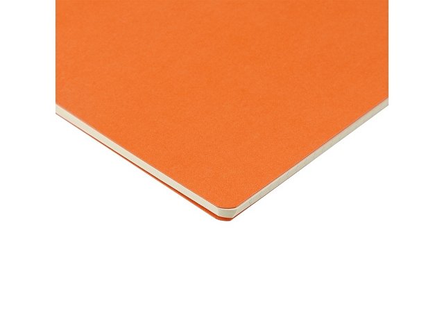 Бизнес-тетрадь А4 «Pragmatic»