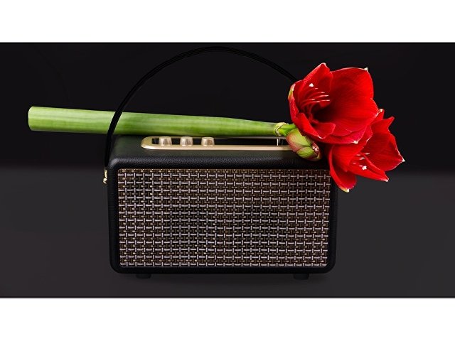 Портативная акустика «Mysound Drive» thumbnail