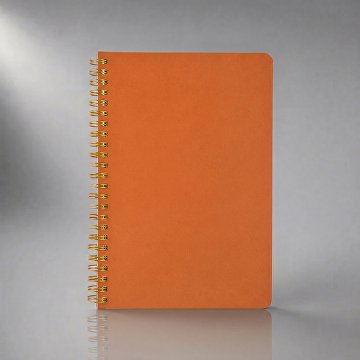 Бизнес тетрадь А5 «Pragmatic»