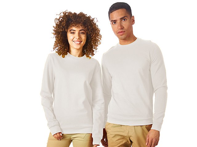 Свитшот «Motion» с начесом, унисекс thumbnail