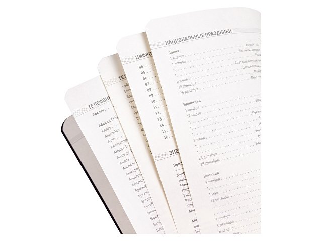 Ежедневник недатированный А5 «Megapolis Velvet Flex» thumbnail