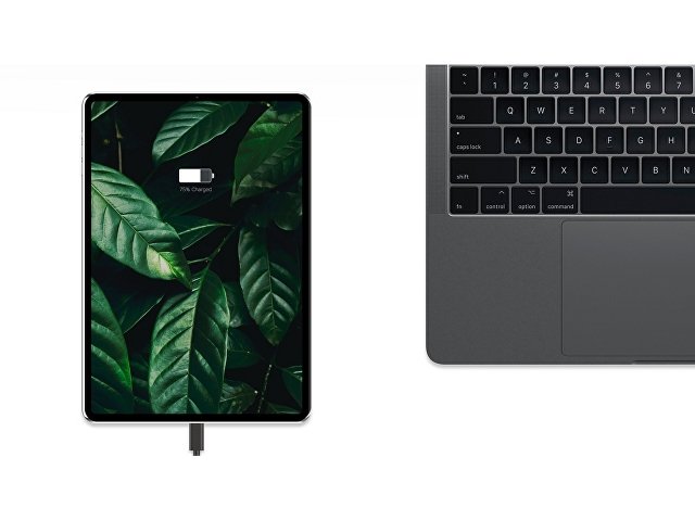 Сетевое зарядное устройство «NEO Z Type-C 60» thumbnail