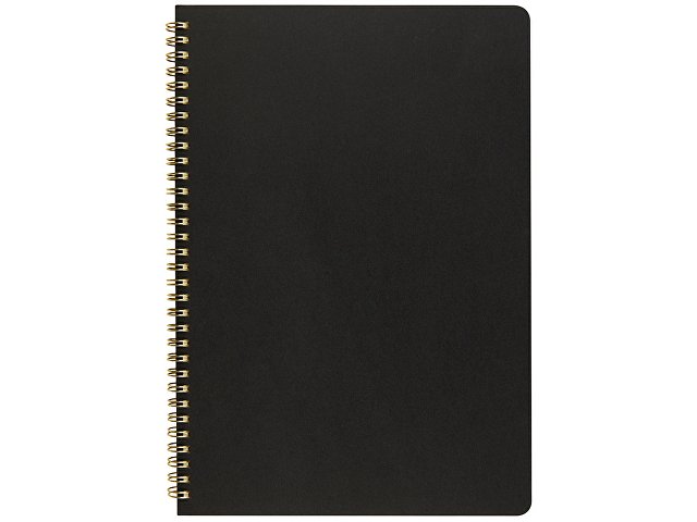 Бизнес-тетрадь А4 «Pragmatic»