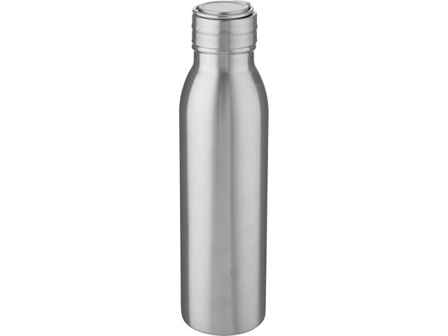 Бутылка для воды с металлической петлей «Harper», 700 мл