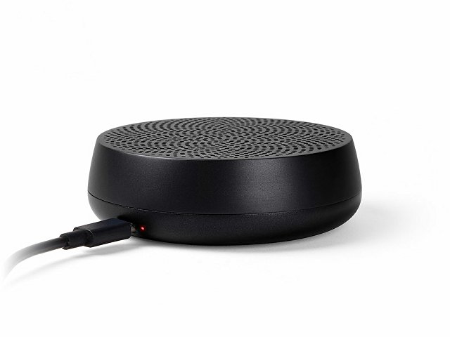 Колонка беспроводная Mino+ L thumbnail