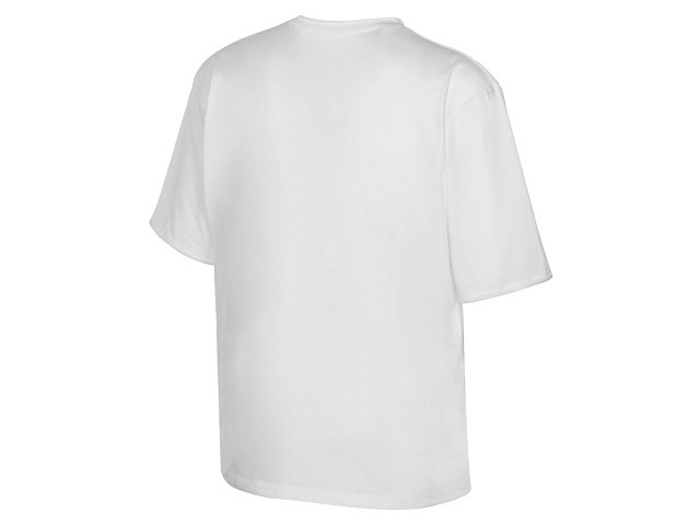 Футболка оверсайз «Liyon» унисекс thumbnail