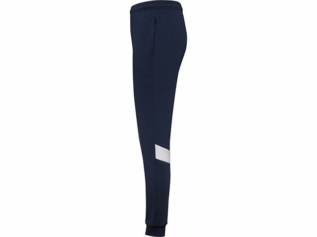 Брюки спортивные «Rodas», мужские