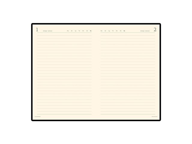 Ежедневник полудатированный портфолио А5 «Profy» thumbnail