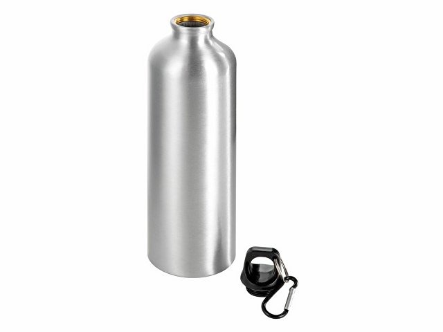 Бутылка «Hip M» с карабином, 770 мл thumbnail