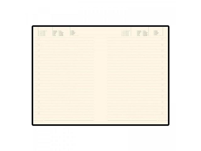 Ежедневник недатированный B5 «Tintoretto New» thumbnail