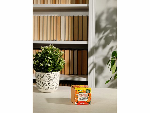 Набор для выращивания «Бархатцы» thumbnail