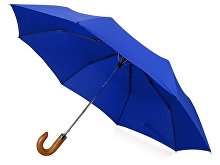 Зонт складной «Cary» (арт. 979062)