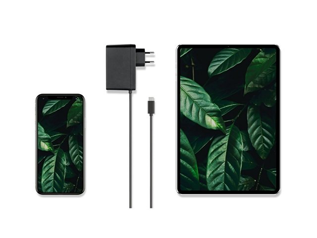 Сетевое зарядное устройство «NEO Z Type-C 60» thumbnail