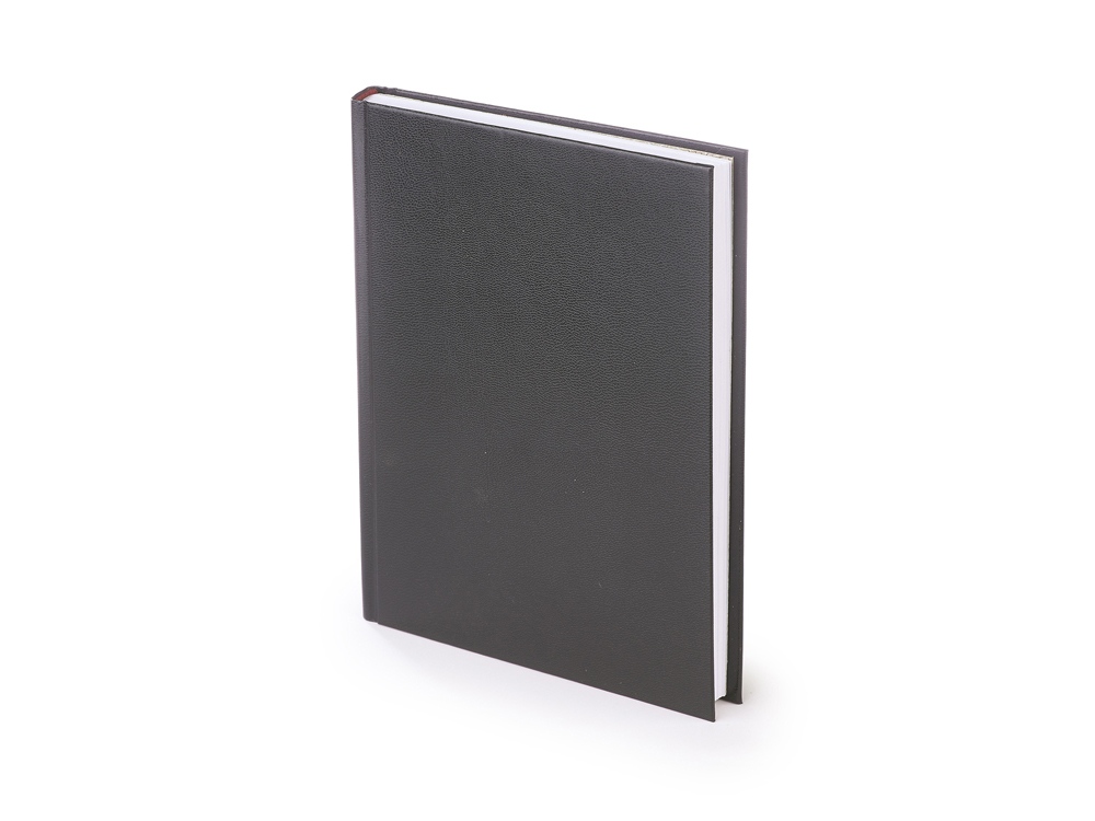 Ежедневник датированный А5 «Ideal New» на 2026 год