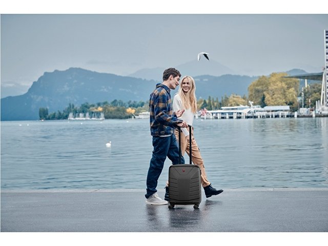 Чемодан «Pegasus», 39 л thumbnail