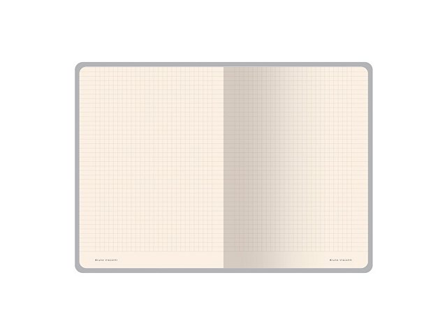 Бизнес тетрадь А5 «Megapolis Velvet flex» soft touch thumbnail