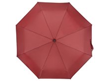 Зонт складной «Cary» (арт. 979078), фото 6