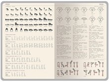 Ежедневник недатированный А5 «Bosforo»