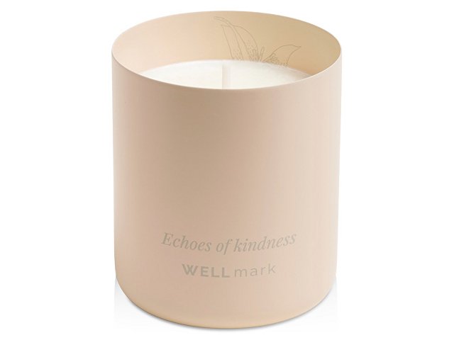 Ароматическая свеча «Echoes of Kindness» thumbnail