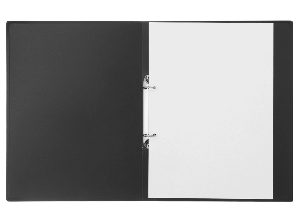 Папка на 2-х кольцах фото 7 Папка на 2-х кольцах фото 7