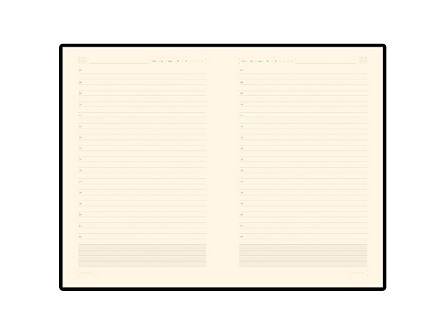 Ежедневник недатированный А5 «Zenith» thumbnail