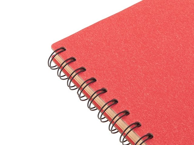 Блокнот А5 на спирали «Mania»