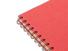 Блокнот А5 на спирали «Mania»