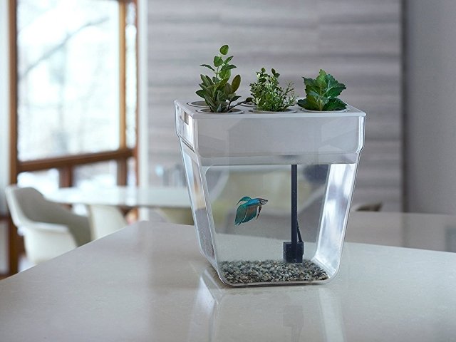 Набор для выращивания растений и ухода за рыбкой «Акваферма» thumbnail