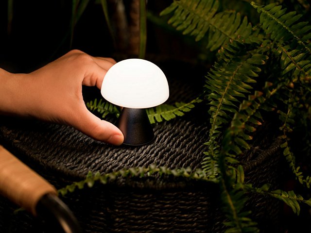 Лампа интерьерная Mina thumbnail