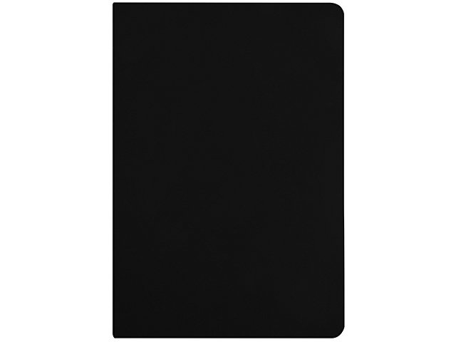 Бизнес-тетрадь А5 «Pragmatic Contrast»