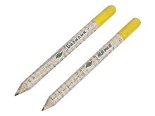 Набор «Растущий карандаш» mini, 2 шт. с семенами базилика и мяты (арт. 220253)