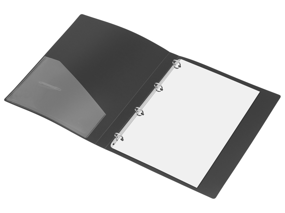 Папка на 4-х кольцах фото 5 Папка на 4-х кольцах фото 5