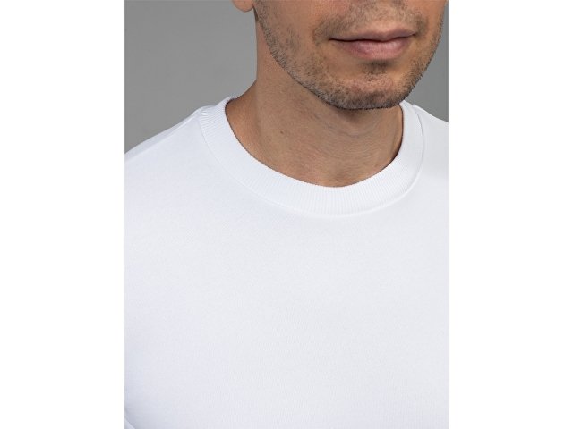 Свитшот для сублимации «Evolution» унисекс thumbnail